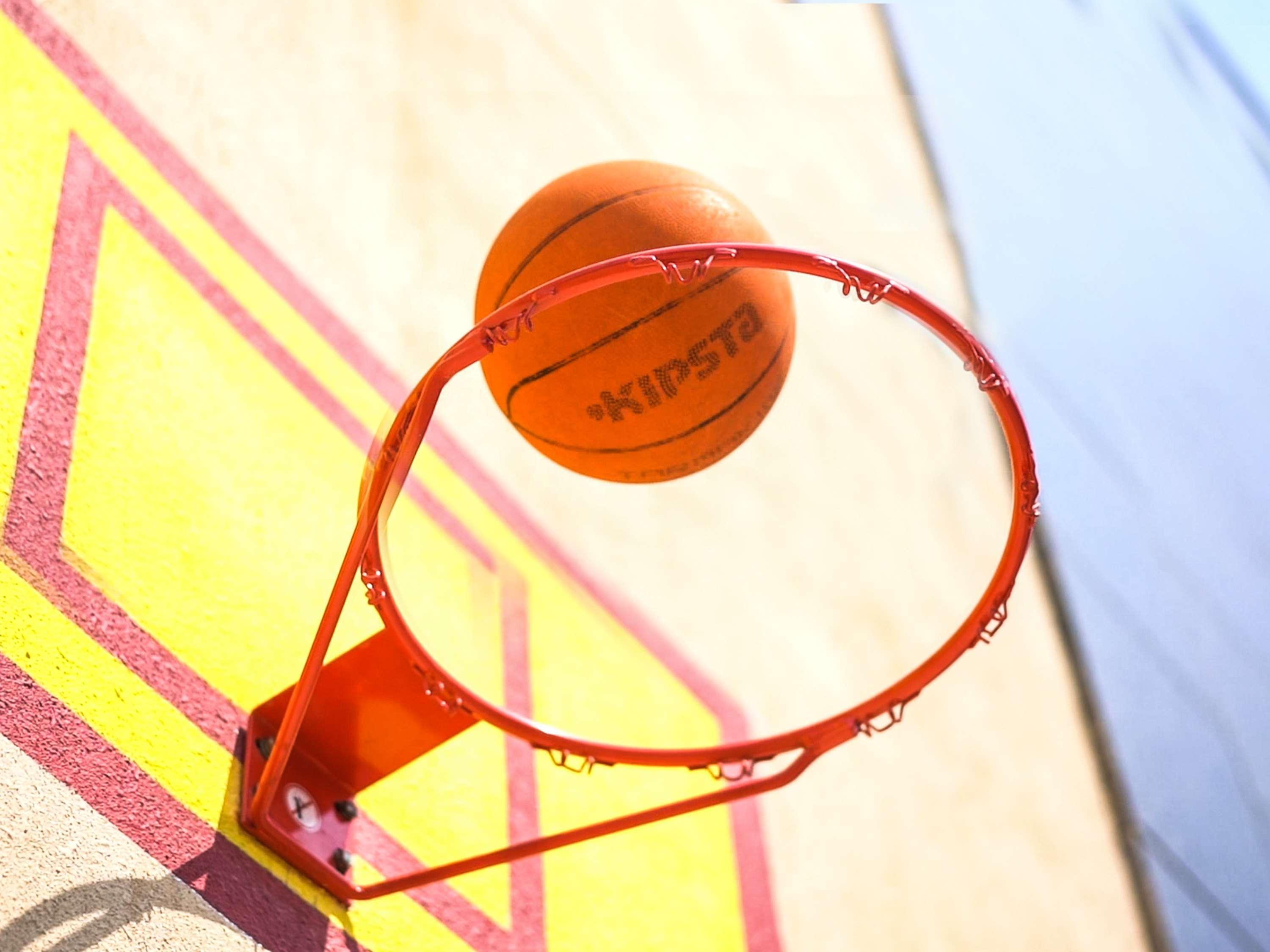 Novotel Chennai Sipcot מראה חיצוני תמונה A basketball entering a hoop