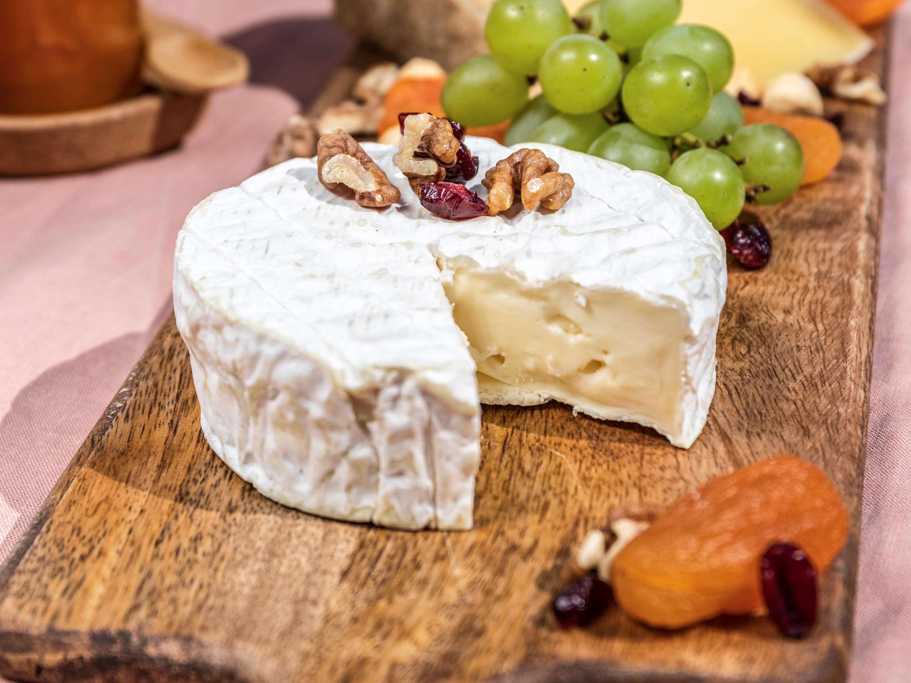 Novotel Chennai Sipcot מראה חיצוני תמונה Camembert cheese