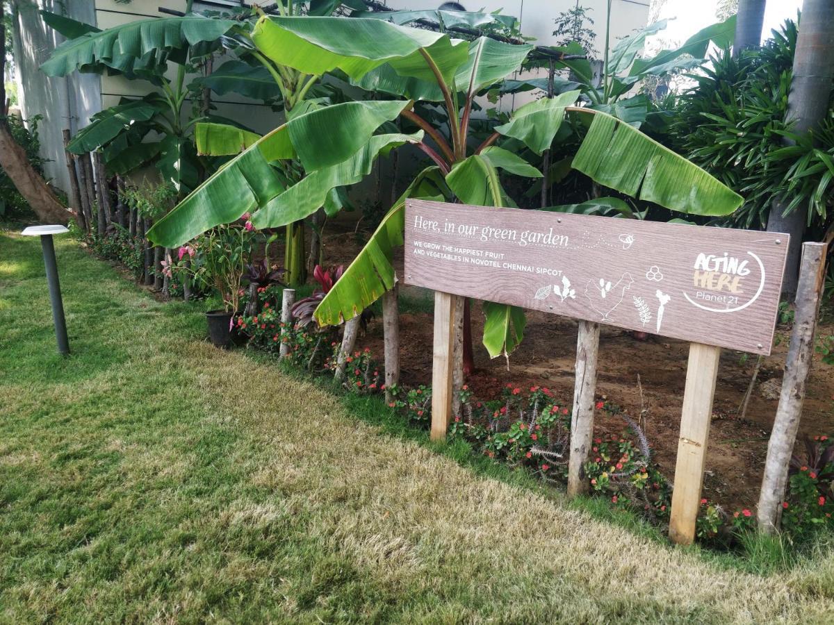 Novotel Chennai Sipcot מראה חיצוני תמונה The Edible Garden at the National Gallery Singapore